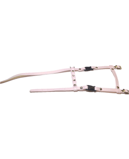 NN L-KOKO V.PUN KISSANVALJAS Main Image