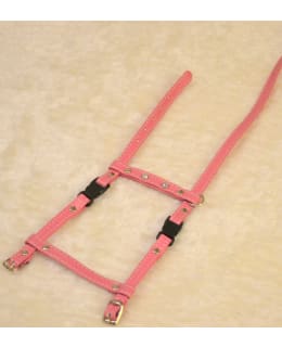 NN M-KOKO FUKSIA KISSANVALJAS Main Image