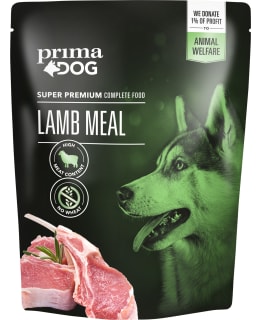 PD 260 G LAMMAS-ATERIA Main Image