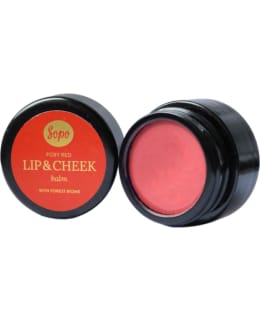 METSÄBIOMI HUULIVOIDE FOXY RED Main Image