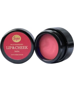 METSÄBIOMI HUULIVOIDE WILD RASBERRY Main Image