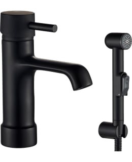 Arctic Faucets Aqva Curvam mattamusta bidesuihkulla pesuallashana Main Image