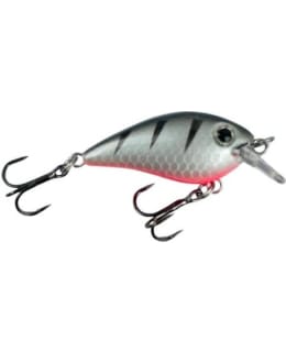 JASU HOLMA 3CM ROACH VAAPPU Main Image