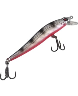 JASU KROOKKA 12CM ROACH VAAPPU Main Image