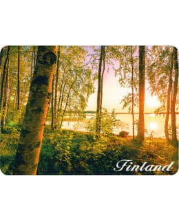 HT METSÄ JA JÄRVI 3D MAGNEETTI Main Image