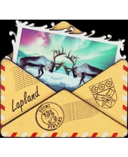 TAISTELEVAT POROT KIRJE PUUMAGNEETTI Main Image
