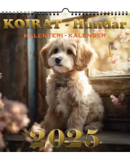 SUOMEN AIKA 4060 2025 SEINÄKALENTERI Main Image