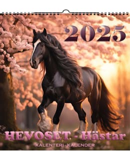 SUOMEN AIKA 4062 2025 SEINÄKALENTERI Main Image