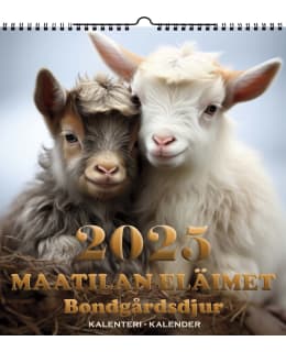 SUOMEN AIKA 4066 2025 SEINÄKALENTERI Main Image