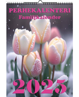 SUOMEN AIKA 4069 2025 PERHEKALENTERI Main Image