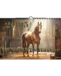 SUOMEN AIKA 4082 2025 SEINÄKALENTERI Main Image