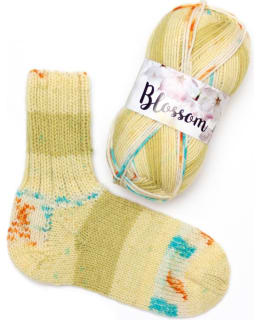 NORDIA BLOSSOM 100G 27 LANKA Main Image