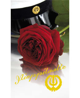 PALETTI 0209 4,50 YO/VAL KORTTI Main Image