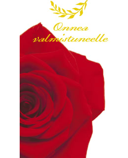 PALETTI 0353 4,50 YO/VAL KORTTI Main Image