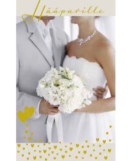 PALETTI 0061 4,50 HÄÄ KORTTI Main Image