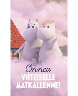 PALETTI 5073 4,50 LIS HÄÄ KORTTI Main Image