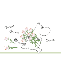 PALETTI 7138 4,50 LIS RIPPI KORTTI Main Image