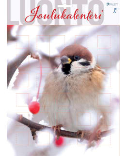 PALETTI 1351 H16 JOULUKALENTERI Main Image