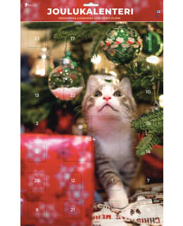 PALETTI SÖPÖT H16 JOULUKALENTERI Main Image