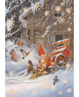 PALETTI 5249 1,50 JOULUKORTTI Main Image