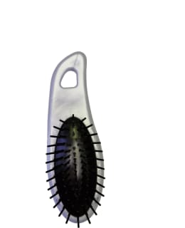 KAMPAMIES NRO2 DELFIINI HIUSHARJA Main Image