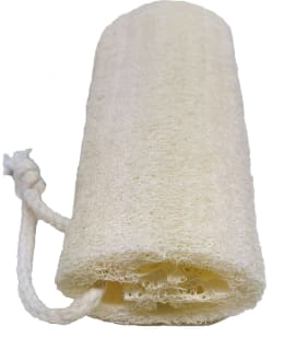 LUFFA PESUSIENI Main Image