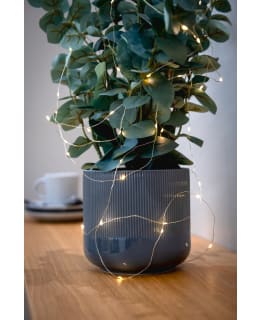 HILLA STRING LIGHTS 50 LED Main Image
