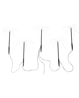 Airam Taimi solar 5 kpl tikkuvalaisin Main Image