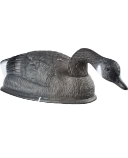 KANADANHANHI, KUORI, RUOKAILEVA Main Image