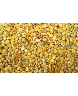 HUNTER 25KG RIISTAMAISSI Main Image