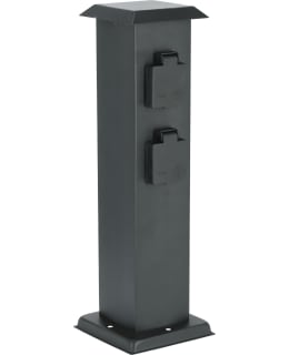 BRIGHTSOLAR PISTORASIATOLPPA Main Image