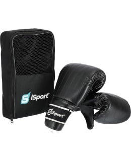 ISPORT S BOXING MITTS Main Image