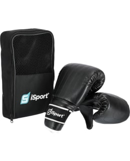 ISPORT M BOXING MITTS Main Image