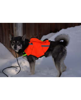 NORDICDOG DINA M GPS-TURVALIIVI Main Image