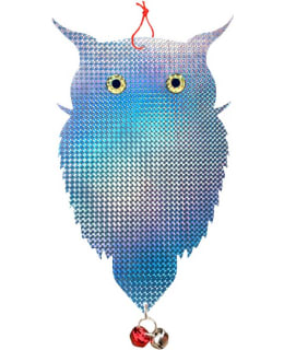 VERDOLA LASER PELOTINPÖLLÖ Main Image