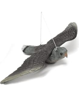 VERDOLA PELOTINHAUKKA Main Image