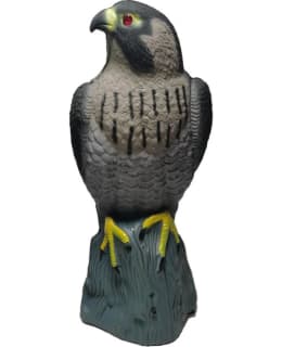 VERDOLA PELOTINJALOHAUKKA Main Image