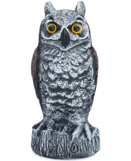 VERDOLA PELOTINPÖLLÖ Main Image