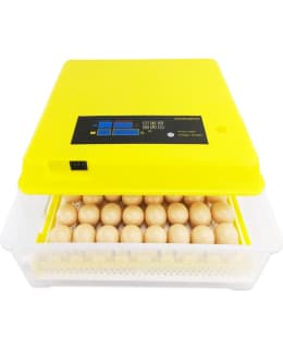Mini Incubator HT 56 munan hautomakone Main Image