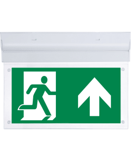 SEKURE WS1 EXIT OPASTEVALAISIN Main Image