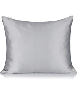 AINA SILKFANTASY 50X60 CM GRA PILLOWCASE Main Image