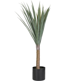 VERDOLA 80CM TRAAKKIPUU TEKOKASVI Main Image