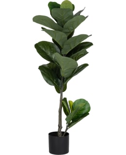 VERDOLA 110CM FIDDLE-LEAF FIG PLANT Main Image