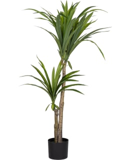 VERDOLA 105CM TRAAKKIPUU TEKOKASVI Main Image