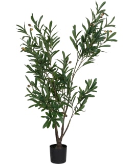 VERDOLA 120CM OLIVE TREE PLANT Main Image