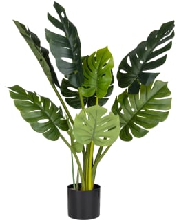 VERDOLA 90CM PEIKONLEHTI TEKOKASVI Main Image