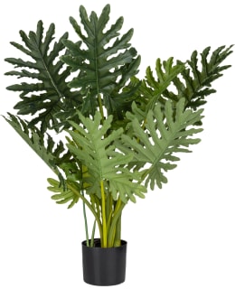 VERDOLA 85CM PEIKONKÄMMEN TEKOKASVI Main Image