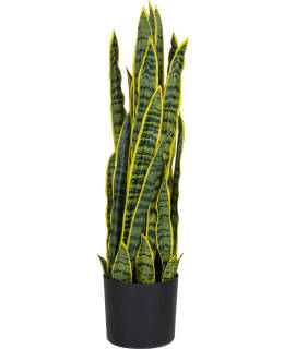 VERDOLA 92CM SNAKE PLANT Main Image