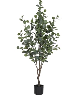 VERDOLA 150CM EUKALYPTUSPUU TEKOKASVI Main Image