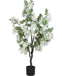 VERDOLA 120CM WISTERIA PLANT Main Image